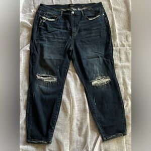 Judy Blue Slim Fit 22W EUC